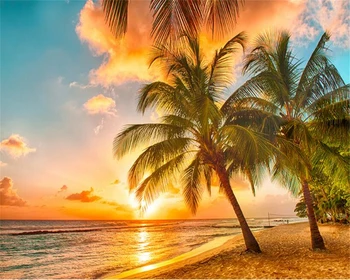 beibehang Модные высокие декоративные обои papel de parede 3d обои кокосовая пальма морской пляж восход закат задний план стены